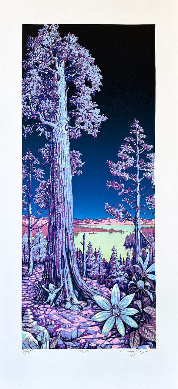  by AJ Mathsay titled AJ Masthay - "Sequoia" Print