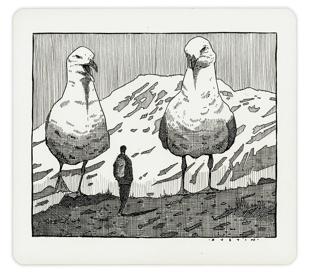 Image of an ink on paper line drawing by artist Chris Austin