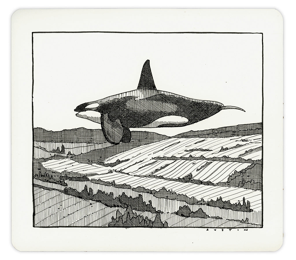 Image of an ink on paper line drawing by artist Chris Austin