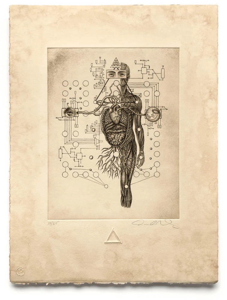 Print by Daniel Martin Diaz titled Daniel Martin Diaz - Self-Aware System (Printers Proof)