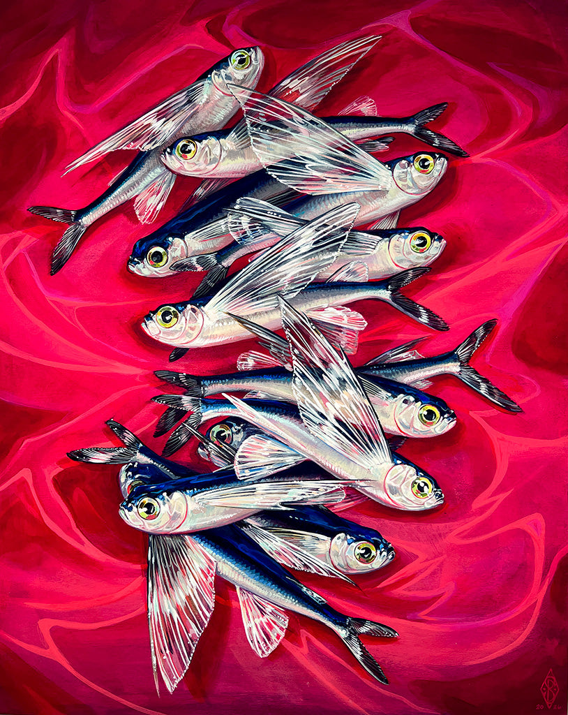 painting of blue and silver flying fish against a bright pink satin background by artist Stephanie Brown