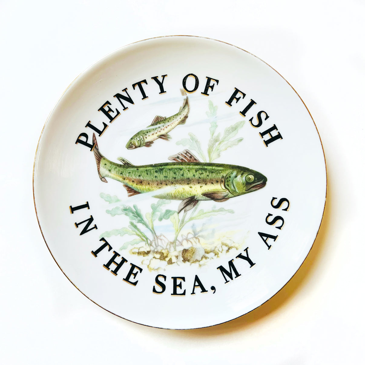 by Marie-Claude Marquis titled Marie-Claude Marquis - "Plenty Of Fish In The Sea, My Ass"