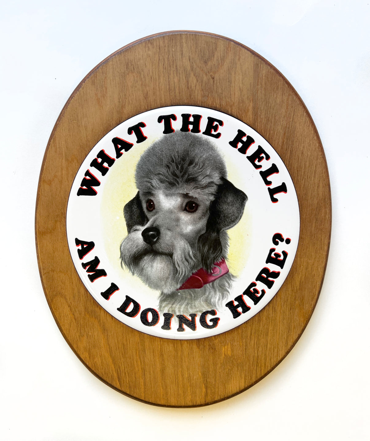 by Marie-Claude Marquis titled Marie-Claude Marquis - "What The Hell Am I Doing Here?"